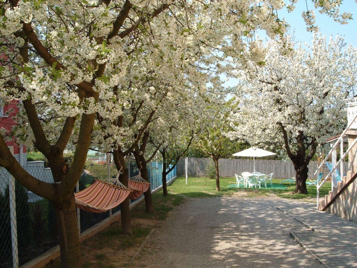 Apartman Heviz Holiday Exterior photo